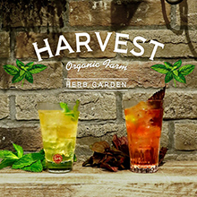 銀座300BARにて『HARVEST ハーベストVol.4』を開催！